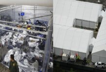 Harrowing Human Right Violations Uncovered in Florida Detention Centers